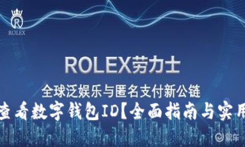 如何查看数字钱包ID？全面指南与实用技巧