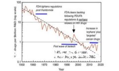 如何开通对公数字钱包：