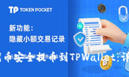 如何将SHIB代币安全提币到TPWallet：详细指南与技巧