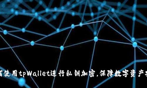 如何使用tpWallet进行私钥加密，保障数字资产安全