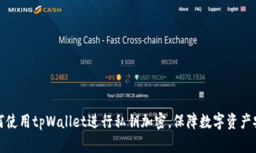如何使用tpWallet进行私钥加密，保障数字资产安全
