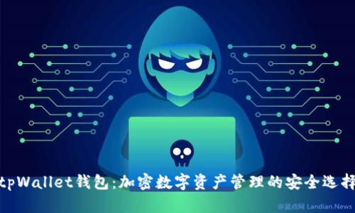 tpWallet钱包：加密数字资产管理的安全选择