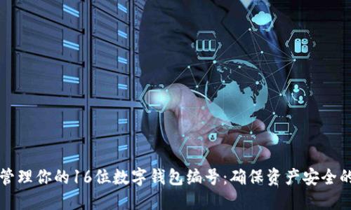 如何安全管理你的16位数字钱包编号：确保资产安全的最佳实践