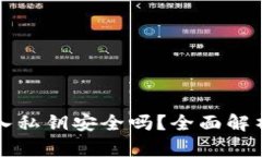 tpWallet导入私钥安全吗？全