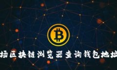 如何通过波场区块链浏览