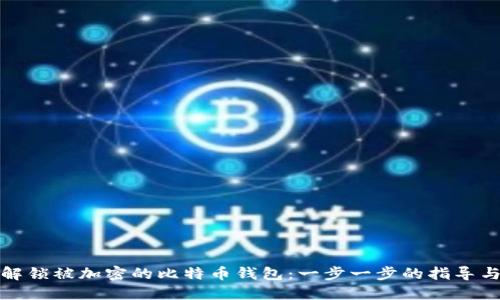 如何解锁被加密的比特币钱包：一步一步的指导与技巧