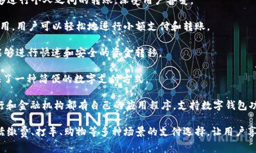 以下是一些支持数字钱包支付的常见应用程序：

1. **支付宝**：在中国，支付宝是最常用的数字钱包应用之一。它支持在线购物、转账、缴费等多种功能。

2. **微信支付**：作为微信的一部分，微信支付在中国的消费中非常普遍。用户可以通过微信进行支付、转账和收款。

3. **Apple Pay**：Apple Pay支持iPhone和Apple Watch用户进行的支付服务。用户可以将信用卡和借记卡的信息存储在设备中，实现便捷的支付。

4. **Google Pay**：Google Pay允许Android用户进行无接触支付。用户可以通过该应用进行在线购物、转账等。

5. **Samsung Pay**：Samsung Pay使用NFC和磁条技术，使用户能够在多种商店进行支付，支持多种信用卡。

6. **PayPal**：PayPal不仅可以在线购物，还能够进行个人之间的转账，深受用户喜爱。

7. **Venmo**：Venmo是美国的一款社交支付应用，用户可以轻松地进行小额支付和转账。

8. **Square's Cash App**：Cash App让用户能够进行快速和安全的资金转移。

9. **Stripe**：虽然主要面向商家，Stripe也提供了一种简便的数字支付方式。

10. **各大银行的移动支付应用**：许多大型银行和金融机构都有自己的应用程序，支持数字钱包功能，用户可以通过其应用进行各种交易。

这些应用程序不仅支持在线支付，还能够进行生活缴费、打车、购物等多种场景的支付选择，让用户享受更加便捷的消费体验。