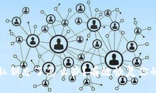 tpWallet密码私钥忘了怎么办？有效恢复你的数字资产策略