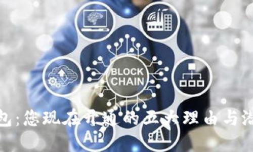 数字钱包：您现在开通的五大理由与潜在成果