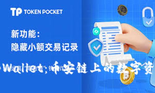 全面了解tpWallet：币安链上的数字资产管理利器