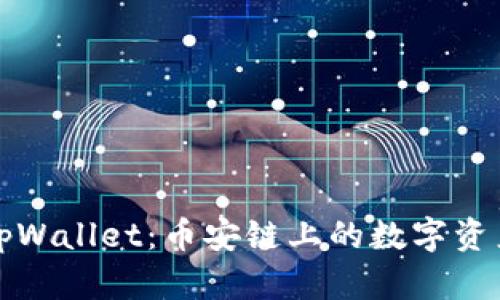 全面了解tpWallet：币安链上的数字资产管理利器