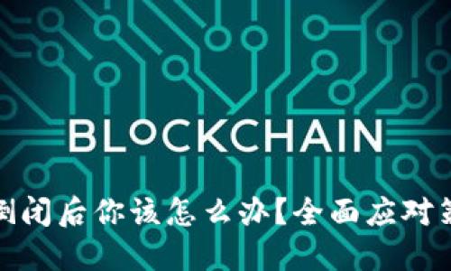 加密钱包倒闭后你该怎么办？全面应对策略与建议