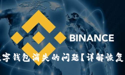 如何解决建行数字钱包消失的问题？详解恢复步骤与注意事项