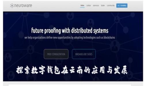 探索数字钱包在云南的应用与发展