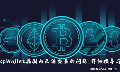 如何解决tpWallet在国内无法交易的问题：详细指导与实用技巧