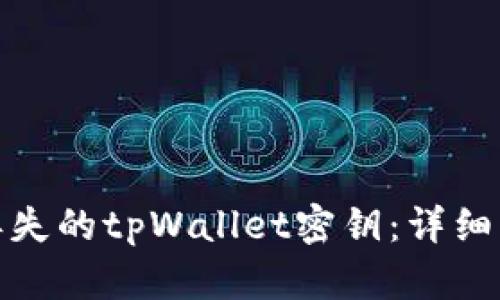 如何找回丢失的tpWallet密钥：详细步骤与建议