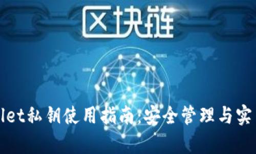 tpWallet私钥使用指南：安全管理与实用技巧