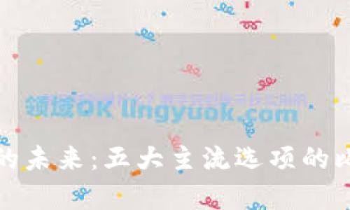 数字钱包的未来：五大主流选项的比较与分析