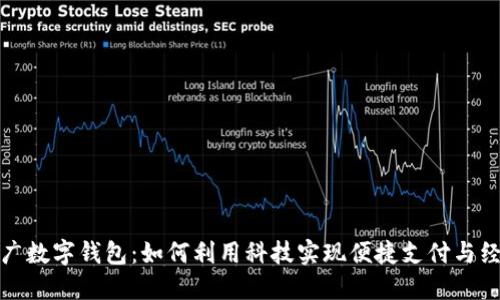 全面推广数字钱包：如何利用科技实现便捷支付与经济增长