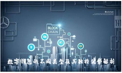 数字钱包的不同类型及其独特优势解析