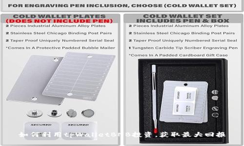 如何利用tpWalletBNB投资，获取最大回报