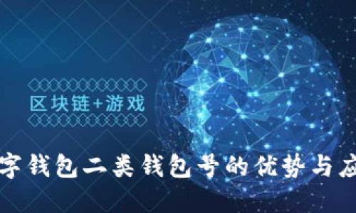 数字钱包二类钱包号的优势与应用