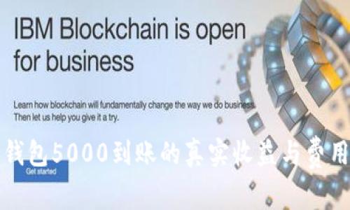 数字钱包5000到账的真实收益与费用解析