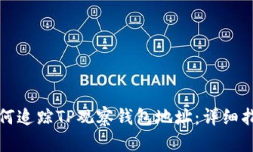 如何追踪TP观察钱包地址：详细指南