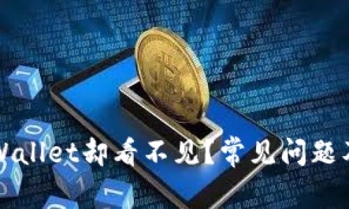 提币到tpWallet却看不见？常见问题及解决指南