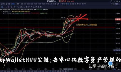 : 探索tpWalletHUU公链：去中心化数字资产管理的新机遇