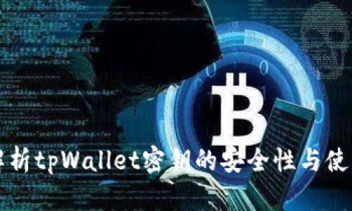 全面解析tpWallet密钥的安全性与使用指南