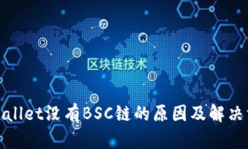 tpWallet没有BSC链的原因及解决方案