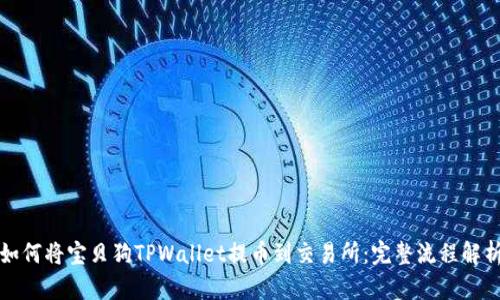 如何将宝贝狗TPWallet提币到交易所：完整流程解析