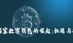 柬埔寨数字钱包的崛起：机遇与挑战