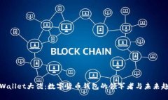 tpWallet大佬：数字货币钱包的领军者与未来趋势