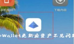 如何解决tpWallet更新后资产不见问题：详细指南