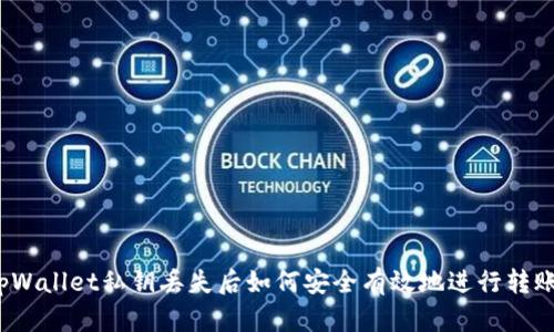 tpWallet私钥丢失后如何安全有效地进行转账？