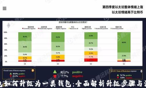 
```xml
数字钱包如何升级为一类钱包：全面解析升级步骤与注意事项