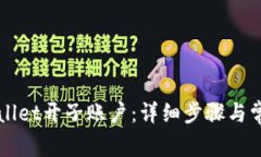 如何在tpWallet开子账户：详细步骤与常见问题解析