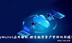 tpWallet应用解析：探索数字