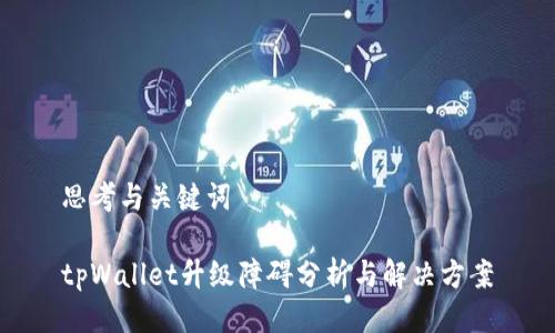 思考与关键词

tpWallet升级障碍分析与解决方案