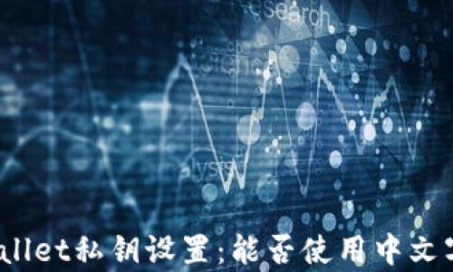 
tpWallet私钥设置：能否使用中文字符？