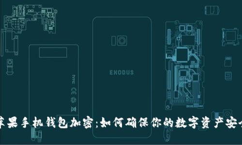 苹果手机钱包加密：如何确保你的数字资产安全
